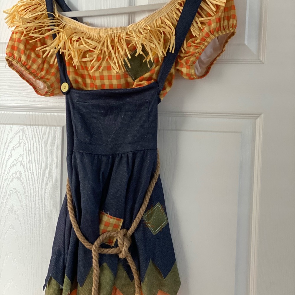 Scarecrow costume